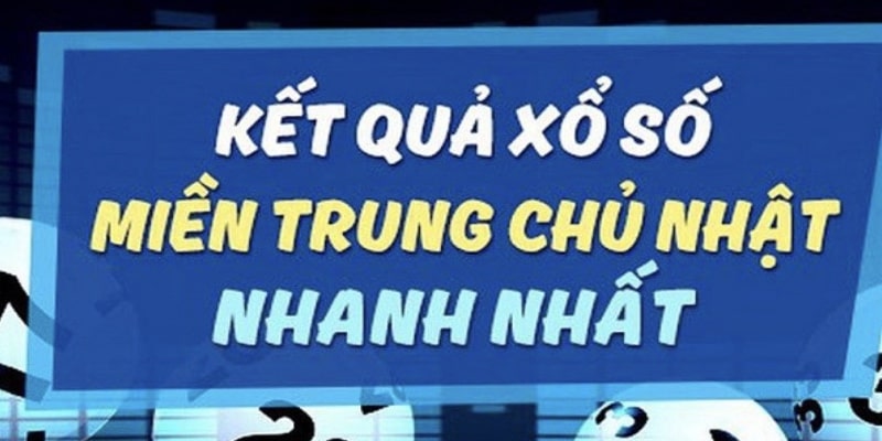 Chỉ cần tìm kiếm theo cụm từ để nhận thông tin chính xác