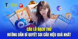 Cầu Lô Bạch Thủ - Hướng Dẫn Bí Quyết Soi Cầu Hiệu Quả Nhất