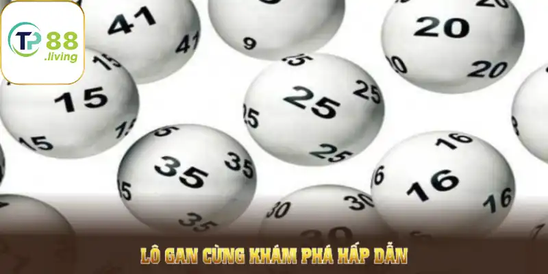 Lô gan cùng khám phá hấp dẫn về chiến thuật tính toán dài hạn